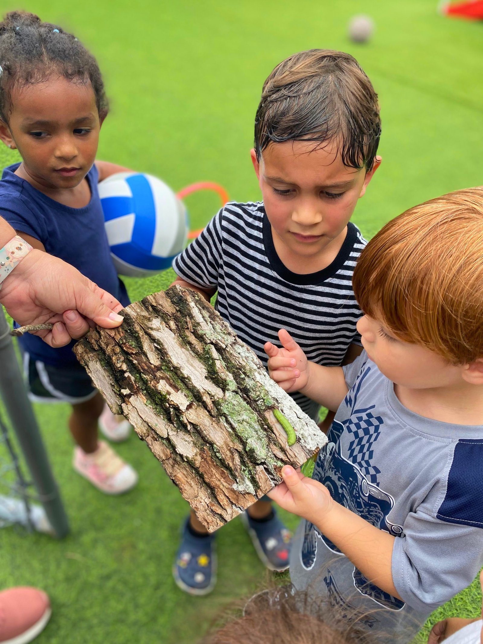 photo of students looking at caterpillar